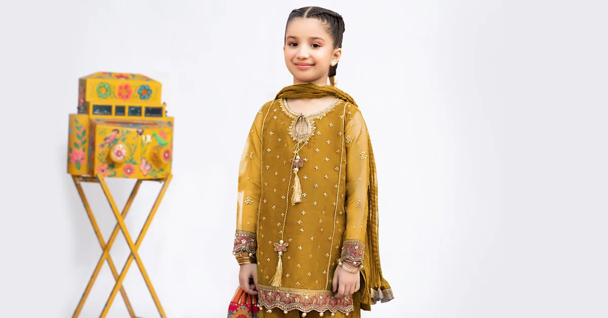 3 Piece Embroidered Organza Suit | MKS-EF24-21