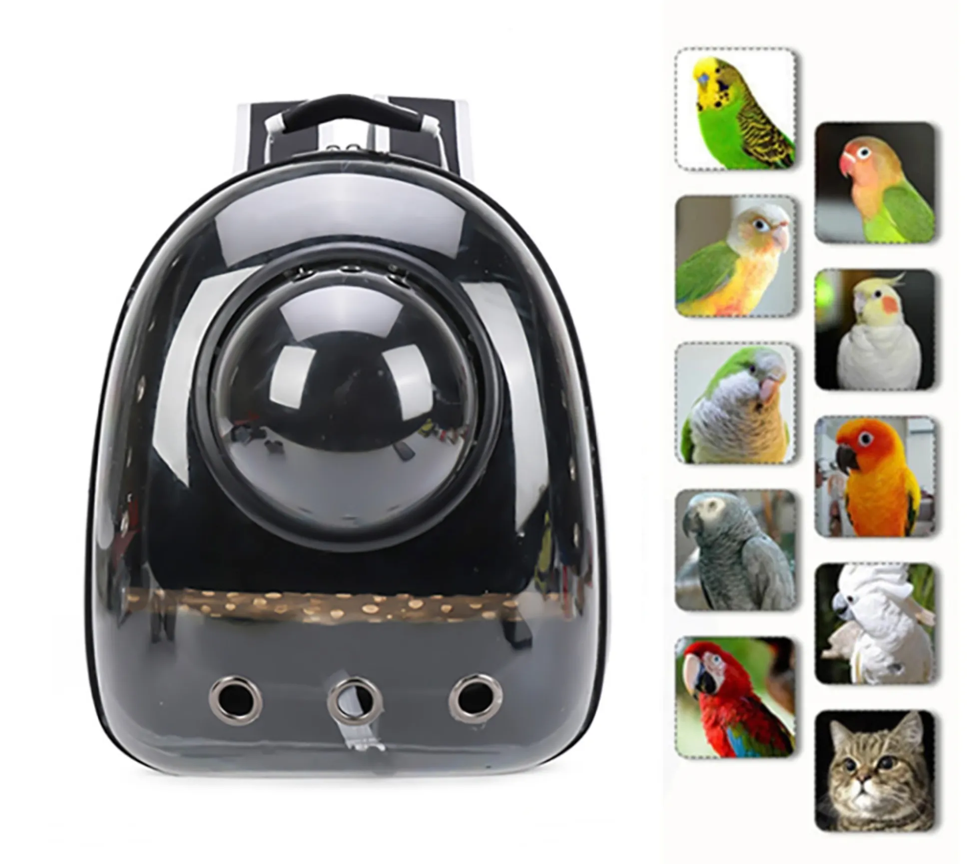 Bird Carrier Parrot Travel Transparent Carrying Backpack