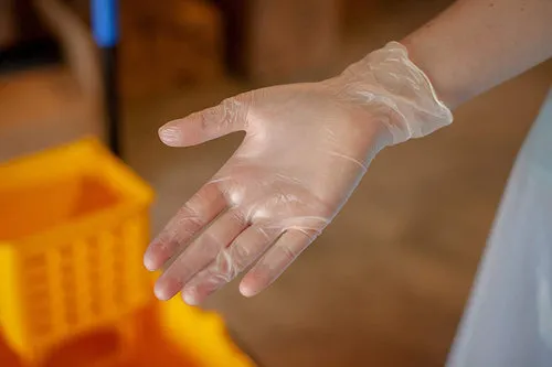 Disposable Vinyl Food Preparation Gloves, Multi-Purpose, Powder and Latex Free