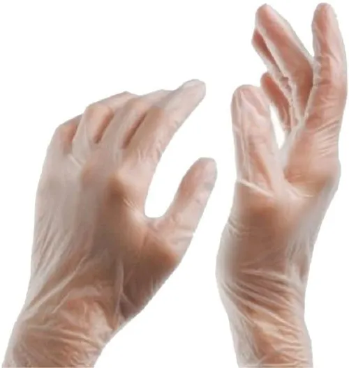 Disposable Vinyl Food Preparation Gloves, Multi-Purpose, Powder and Latex Free