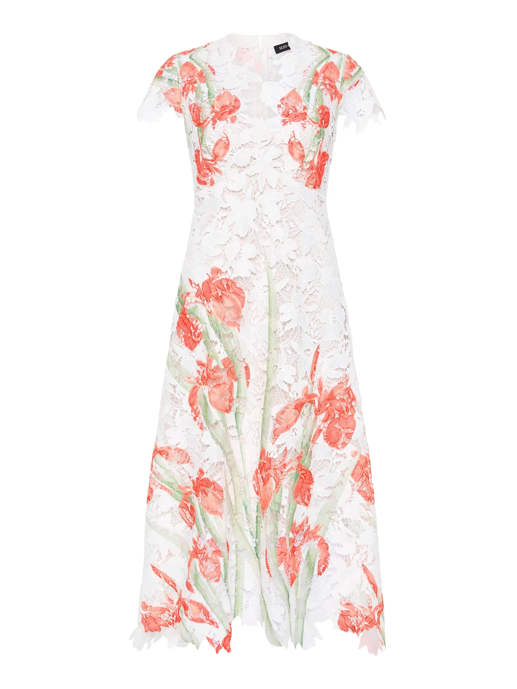 Moss & Spy Orchid Cap Sleeve Dress - White Red Floral