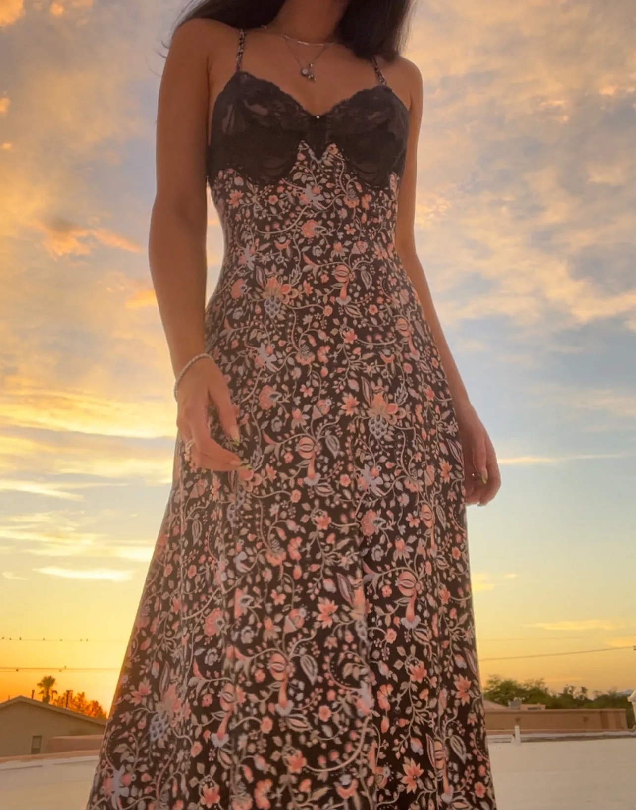 Vtg Olga Sunset Dress